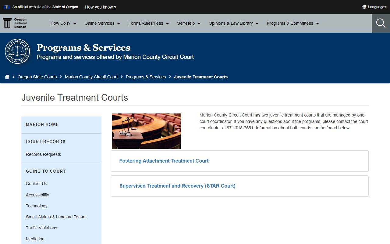 Marion County juvenile treatment courts page within the Circuit Court